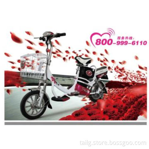 Simple mini green electric bike with pedal for export